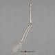 Siamang Arm, Disarticulated w/ Disarticulated Hand (no Scapula)