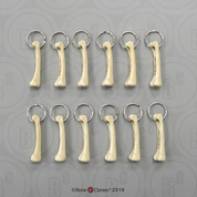 Finger Bone Keyrings (One Dozen)