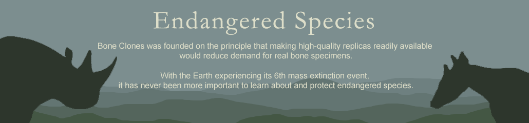 Endangered Species